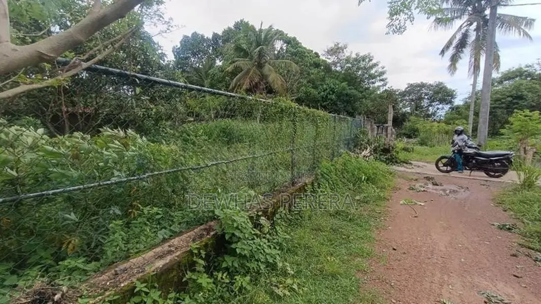 land for sale sewapiysa road wewalagra bollatha ja ela