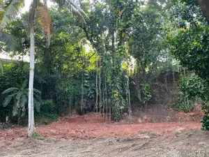 Land with Half Built House for Sale in Rajagiriya