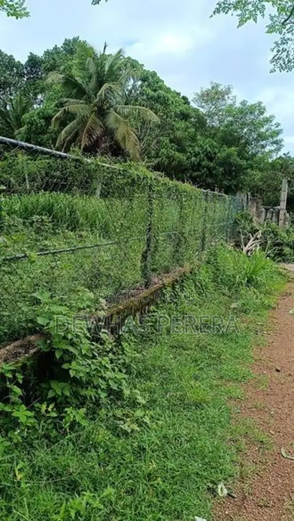 land for sale sewapiysa road wewalagra bollatha ja ela