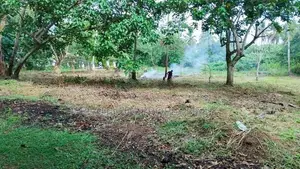 53 P Land for Sale in Ruskin Island Moratuwa