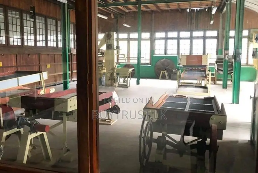 Tea Estate with Factory for Sale in Badulla