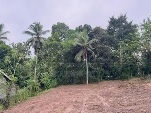 Valuable 38-Perch Land for Sale in Nilpanagoda, Minuwangoda
