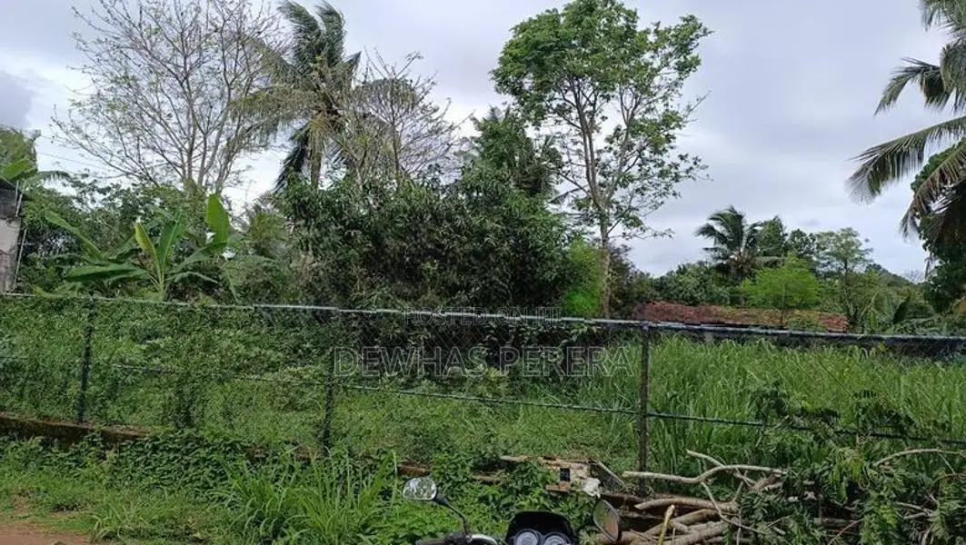 land for sale sewapiysa road wewalagra bollatha ja ela