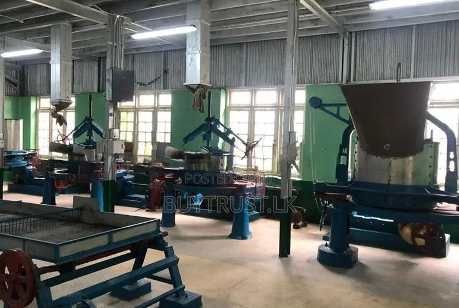 Tea Estate with Factory for Sale in Badulla