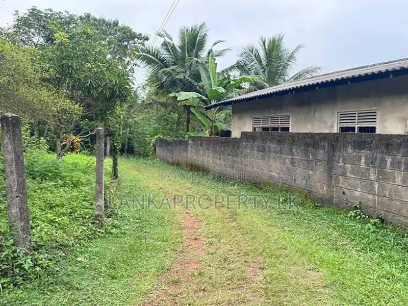 Valuable 38-Perch Land for Sale in Nilpanagoda, Minuwangoda