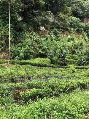 Estate for Sale in Niwithigala
