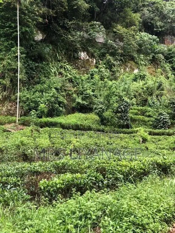Estate for Sale in Niwithigala