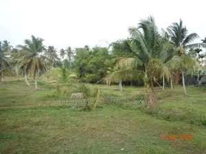 Divulapitiya Gampaha District, Land for Sale with Wide Roads