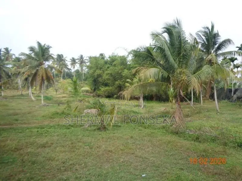 Divulapitiya Gampaha District, Land for Sale with Wide Roads
