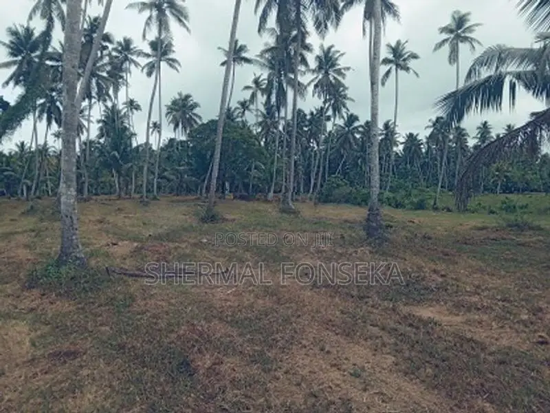 Katunayake Minuwangoda Land with Wide Road for Sale Warehouse Factory