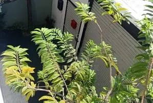 Three Story House for sale in Kolonnawa