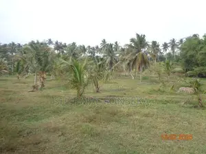 Divulapitiya Gampaha District, Land for Sale with Wide Roads