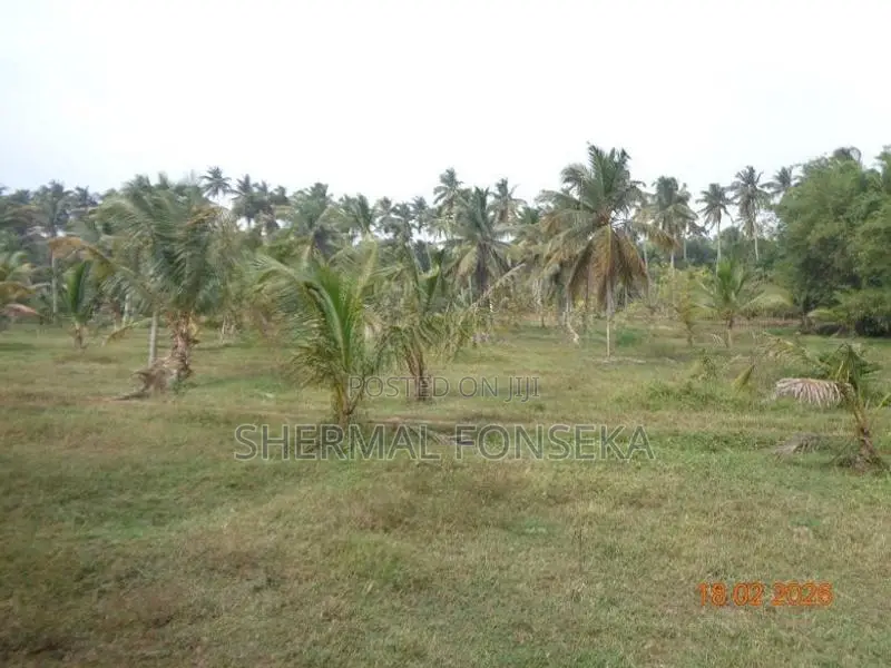 Divulapitiya Gampaha District, Land for Sale with Wide Roads