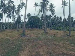 Katunayake Minuwangoda Land with Wide Road for Sale Warehouse Factory