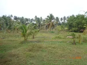 Divulapitiya Gampaha District, Land for Sale with Wide Roads