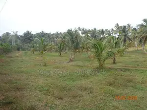 Divulapitiya Gampaha District, Land for Sale with Wide Roads