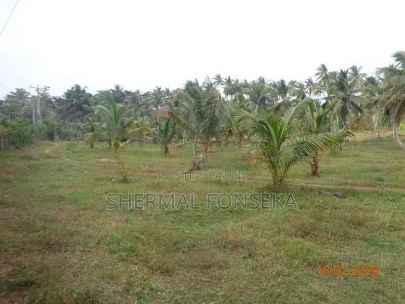 Divulapitiya Gampaha District, Land for Sale with Wide Roads