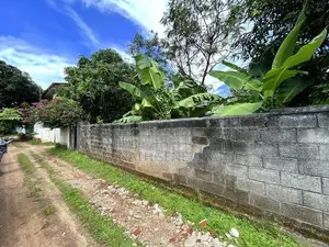 Land in Boralesgamuwa Town - 50 m to 120 Colombo Horana Main Rd