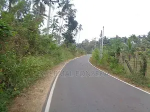 Divulapitiya Gampaha District, Land for Sale with Wide Roads