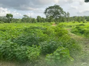 Land For Sale - Galgamuwa