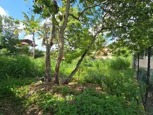 10P Residential or Commercial Bare Land For Sale In Pannipitiya