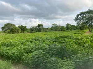 Land For Sale - Galgamuwa