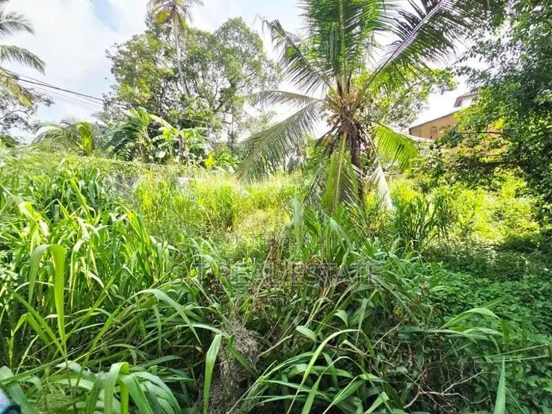 10P Residential or Commercial Bare Land For Sale In Pannipitiya