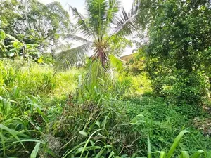 10P Residential or Commercial Bare Land For Sale In Pannipitiya
