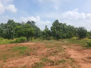 Land For Sale in Dambulla - දඹුල්ලෙන් ඉඩමක් විකිණීමට