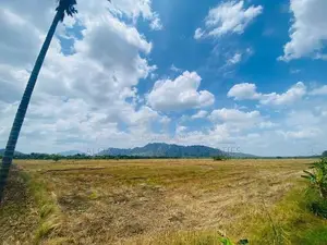 Land For Sale - දඹුල්ලෙන් ඉඩමක් විකිණීමට (කණ්ඩලම පාර දඹුල්ල)