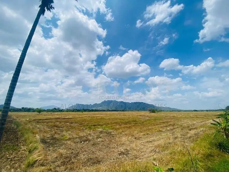 Land For Sale - දඹුල්ලෙන් ඉඩමක් විකිණීමට (කණ්ඩලම පාර දඹුල්ල)
