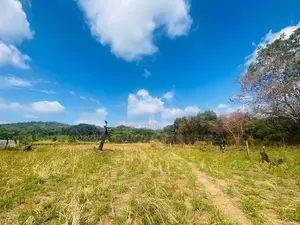Land For Sale in Dambulla - දඹුල්ලෙන් ඉඩමක් විකිණීමට