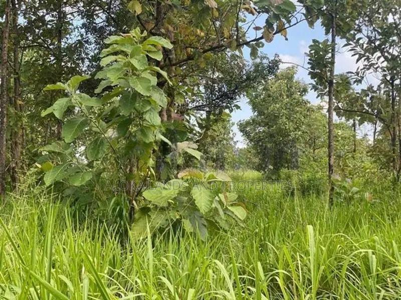 Land For Sale in Dambulla - දඹුල්ලෙන් ඉඩමක් විකිණීමට