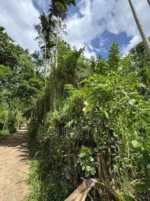 Land for sale in Matale