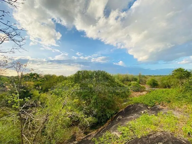 Land For Sale in Dambulla - දඹුල්ලෙන් ඉඩමක් විකිණීමට