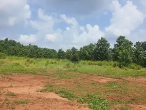 Land For Sale in Dambulla - දඹුල්ලෙන් ඉඩමක් විකිණීමට