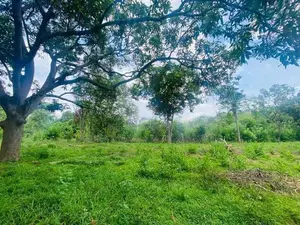 Land For Sale - දඹුල්ලෙන් ඉඩමක් විකිණීමට (කණ්ඩලම පාර දඹුල්ල)