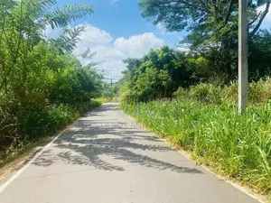 Land For Sale in Dambulla - දඹුල්ලෙන් ඉඩමක් විකිණීමට