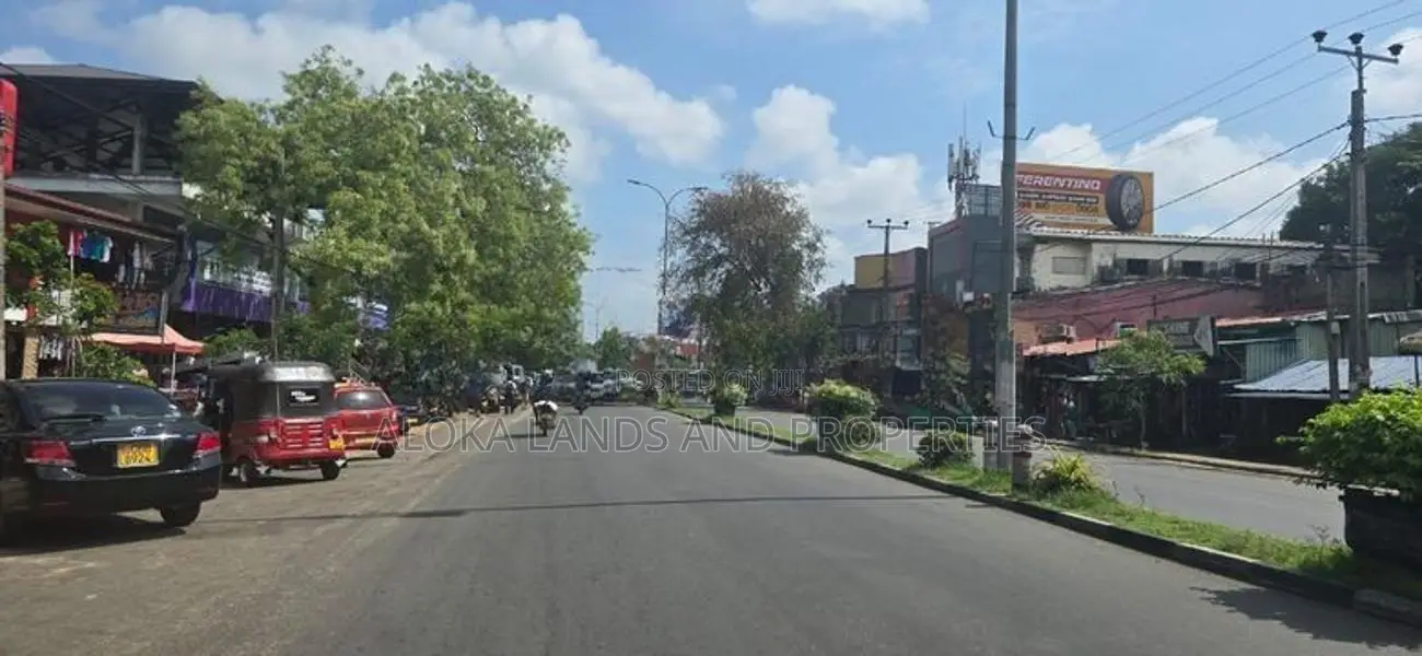 Land For Sale in Dambulla - දඹුල්ලෙන් ඉඩමක් විකිණීමට