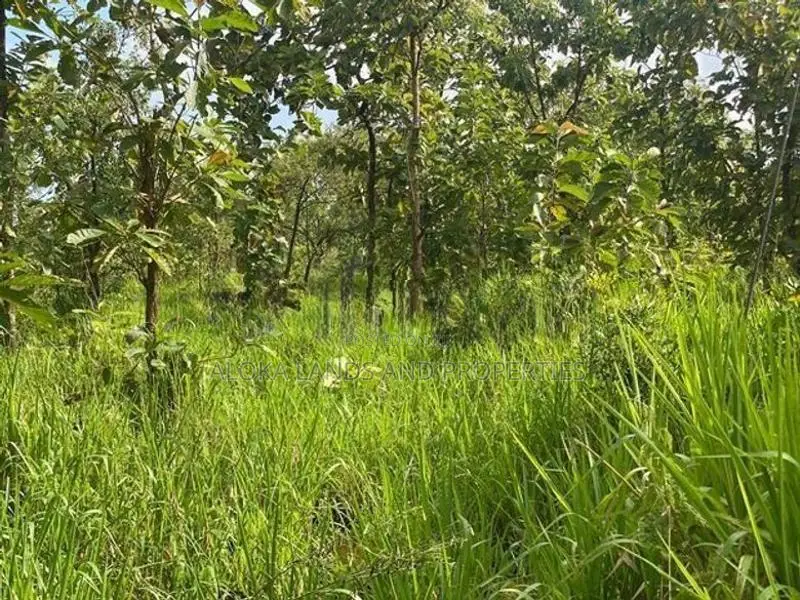 Land For Sale in Dambulla - දඹුල්ලෙන් ඉඩමක් විකිණීමට