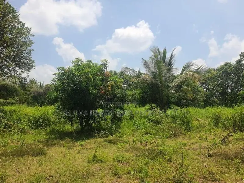 Land For Sale in Dambulla - දඹුල්ලෙන් ඉඩමක් විකිණීමට