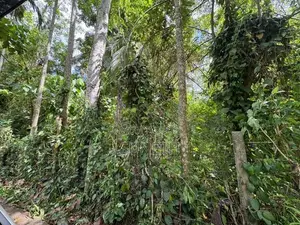 Land for sale in Matale