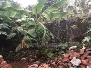 🌿 Prime Land for Sale – Moratuwa