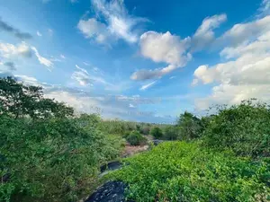 Land For Sale in Dambulla - දඹුල්ලෙන් ඉඩමක් විකිණීමට