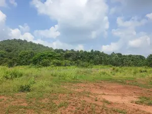 Land For Sale in Dambulla - දඹුල්ලෙන් ඉඩමක් විකිණීමට