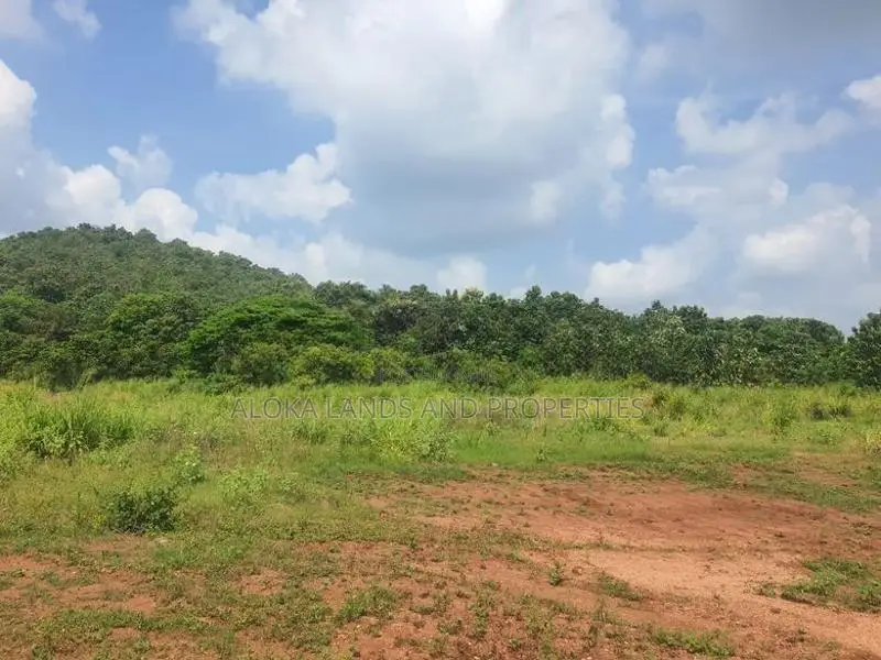 Land For Sale in Dambulla - දඹුල්ලෙන් ඉඩමක් විකිණීමට