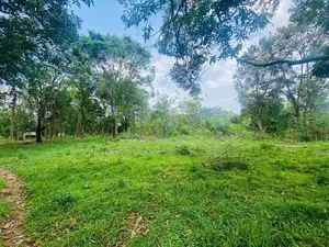 Land For Sale - දඹුල්ලෙන් ඉඩමක් විකිණීමට (කණ්ඩලම පාර දඹුල්ල)