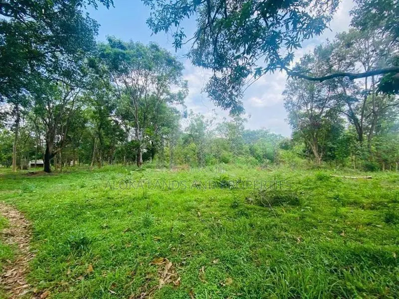 Land For Sale - දඹුල්ලෙන් ඉඩමක් විකිණීමට (කණ්ඩලම පාර දඹුල්ල)
