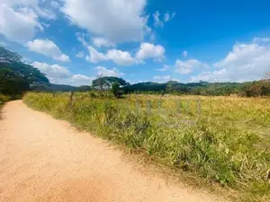 Land For Sale in Dambulla - දඹුල්ලෙන් ඉඩමක් විකිණීමට