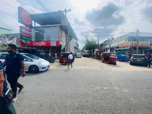 Land For Sale in Dambulla - දඹුල්ලෙන් ඉඩමක් විකිණීමට